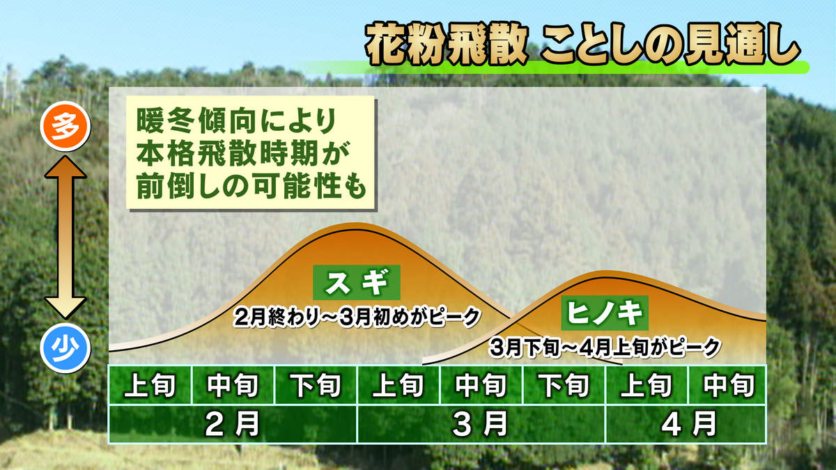 花粉飛散ことしの見通し