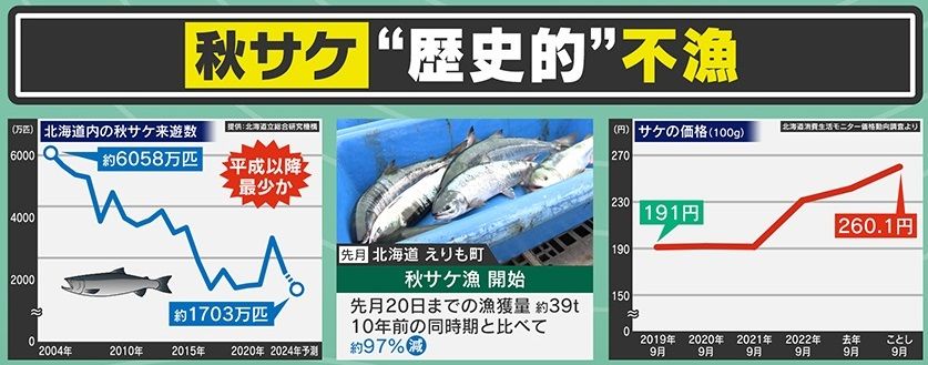 秋サケの漁獲量、10年前と比べて約97％減