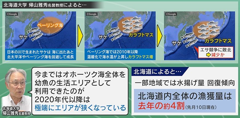 エサ競争に秋サケが敗北か…