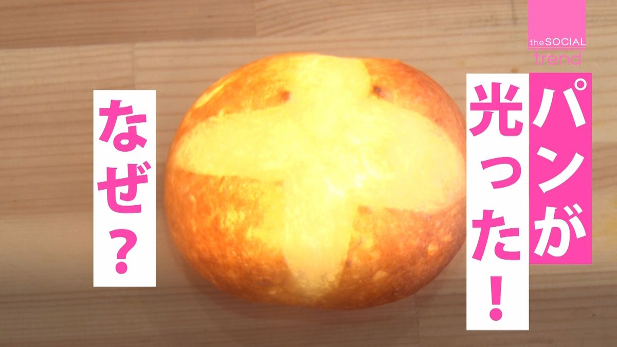 本物のパンが光る！“パン型照明”の魅力