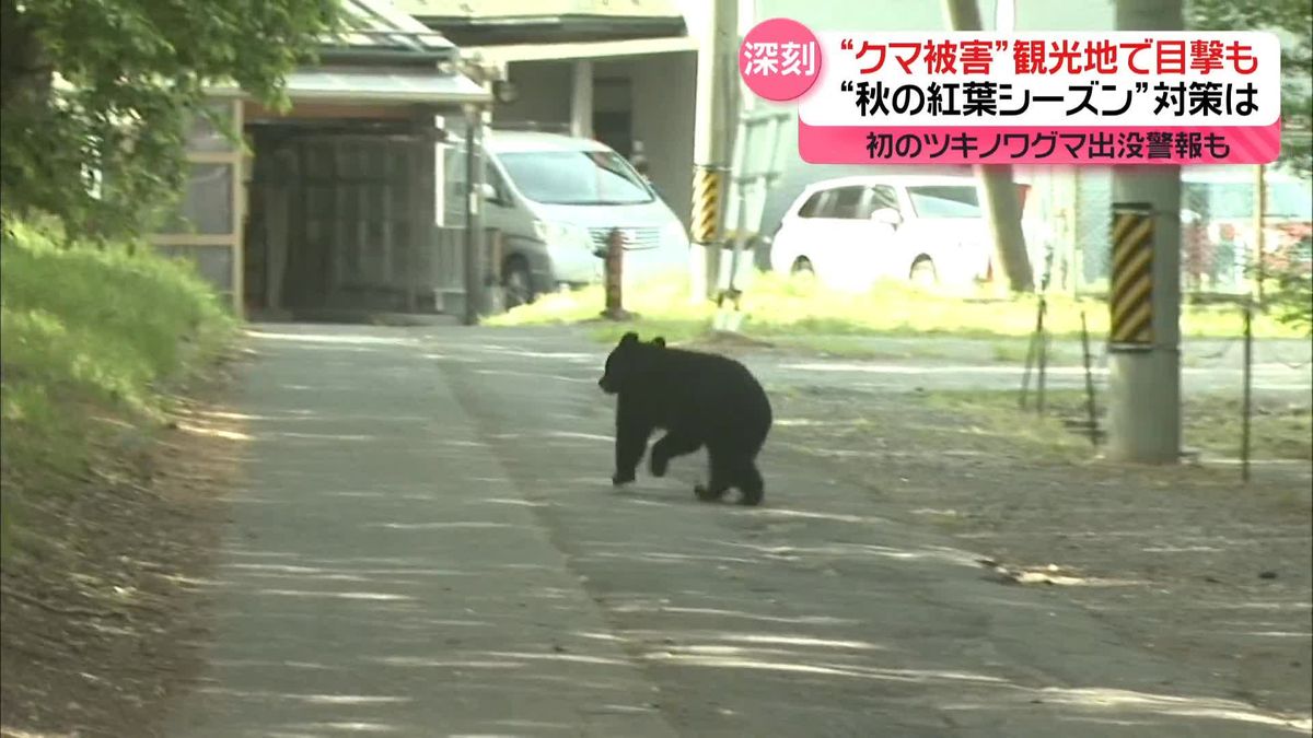 観光地でクマ目撃…紅葉シーズンの対策は？　野生動物による農作物被害も…“ジビエ料理”で観光資源に　長野