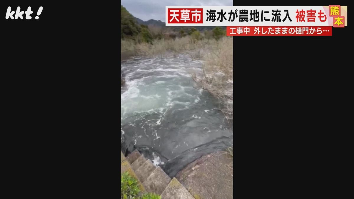 【工事の不手際】東京ドーム4個分の農地に海水が流入し農業被害 熊本県が謝罪し示した対策は
