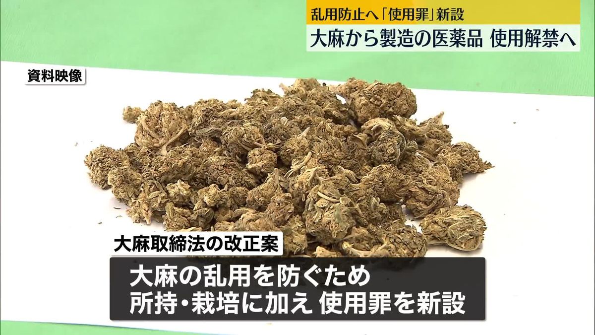 大麻から製造の医薬品　使用解禁へ　「使用罪」を新設　法律の改正案、臨時国会に提出　