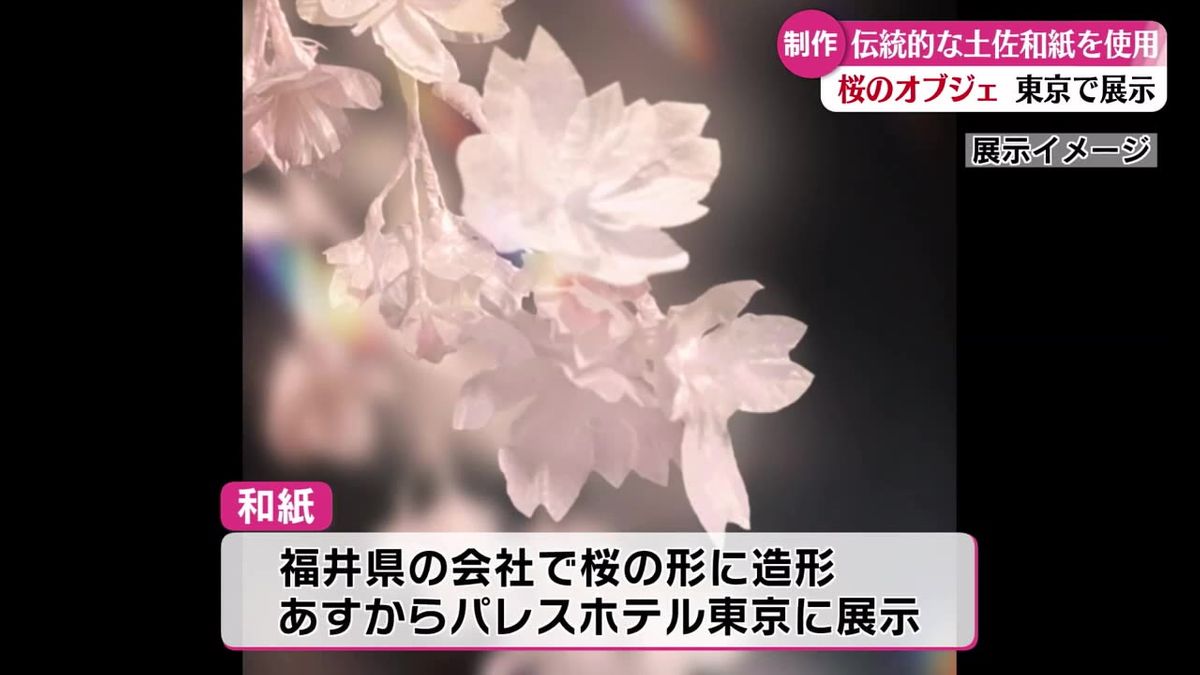 土佐和紙を使った桜のオブジェ 13日から東京のアートイベントで展示【高知】