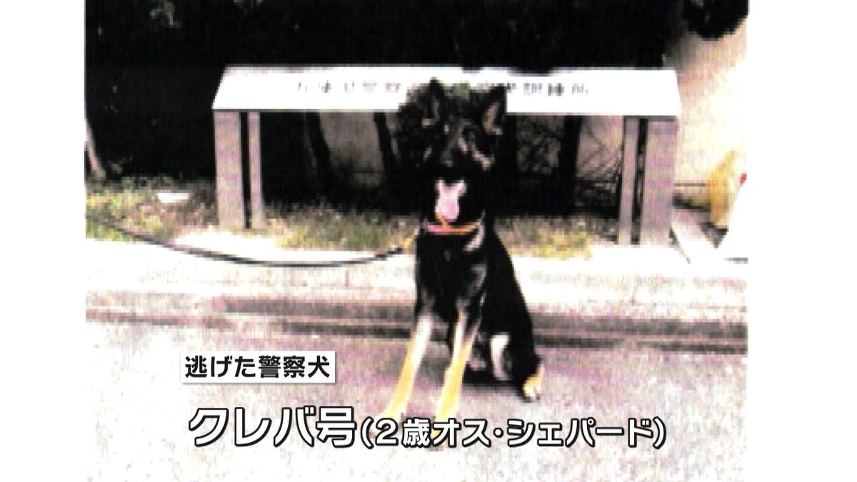 不明者捜索の警察犬が逃げる　兵庫県福崎町