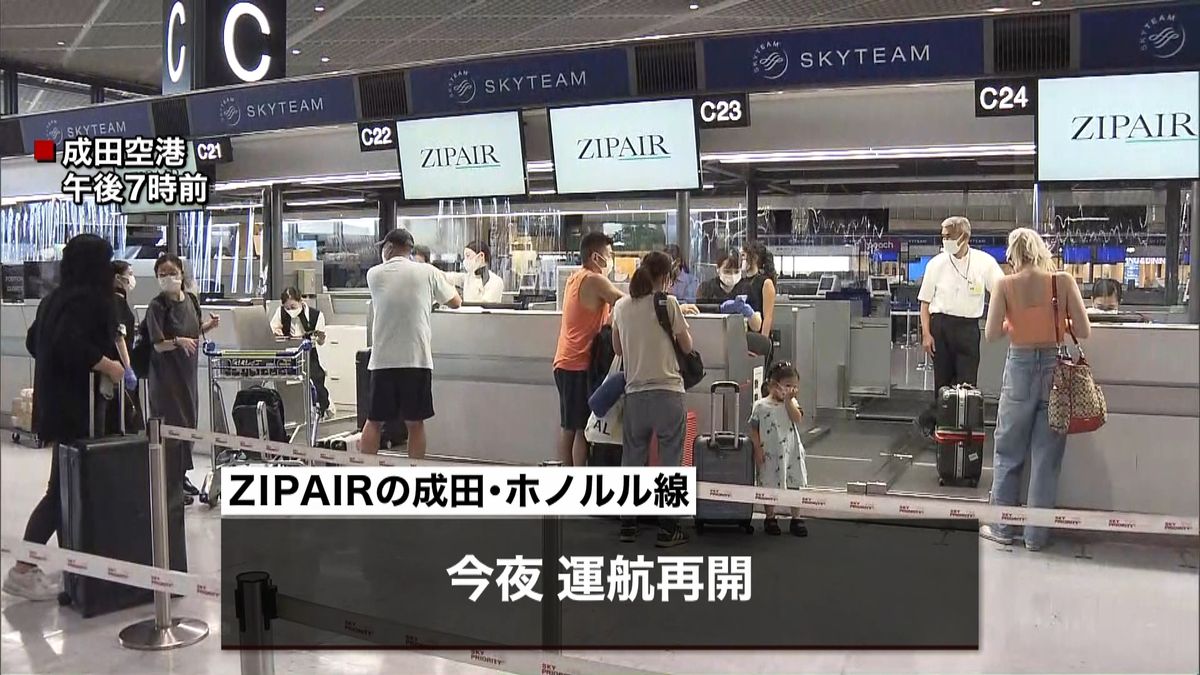 成田・ホノルル線の運航再開　ＺＩＰＡＩＲ