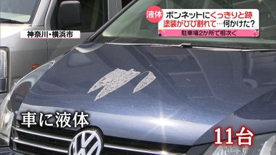 駐車場の車の塗装相次いではがれる 何が