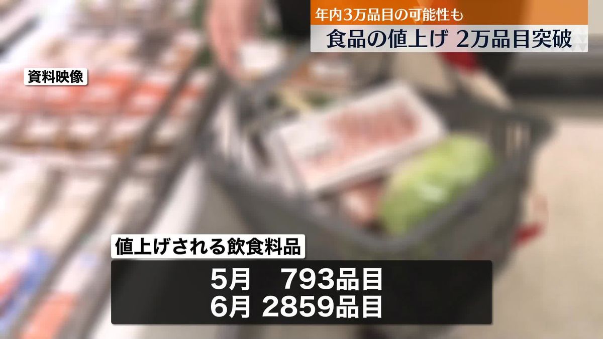 今年の飲食料品値上げ、2万品目超え　去年より3か月早まる