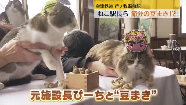 会津鉄道の安全運行を祈って…芦ノ牧温泉駅でねこ駅長らが節分の豆まき・福島県