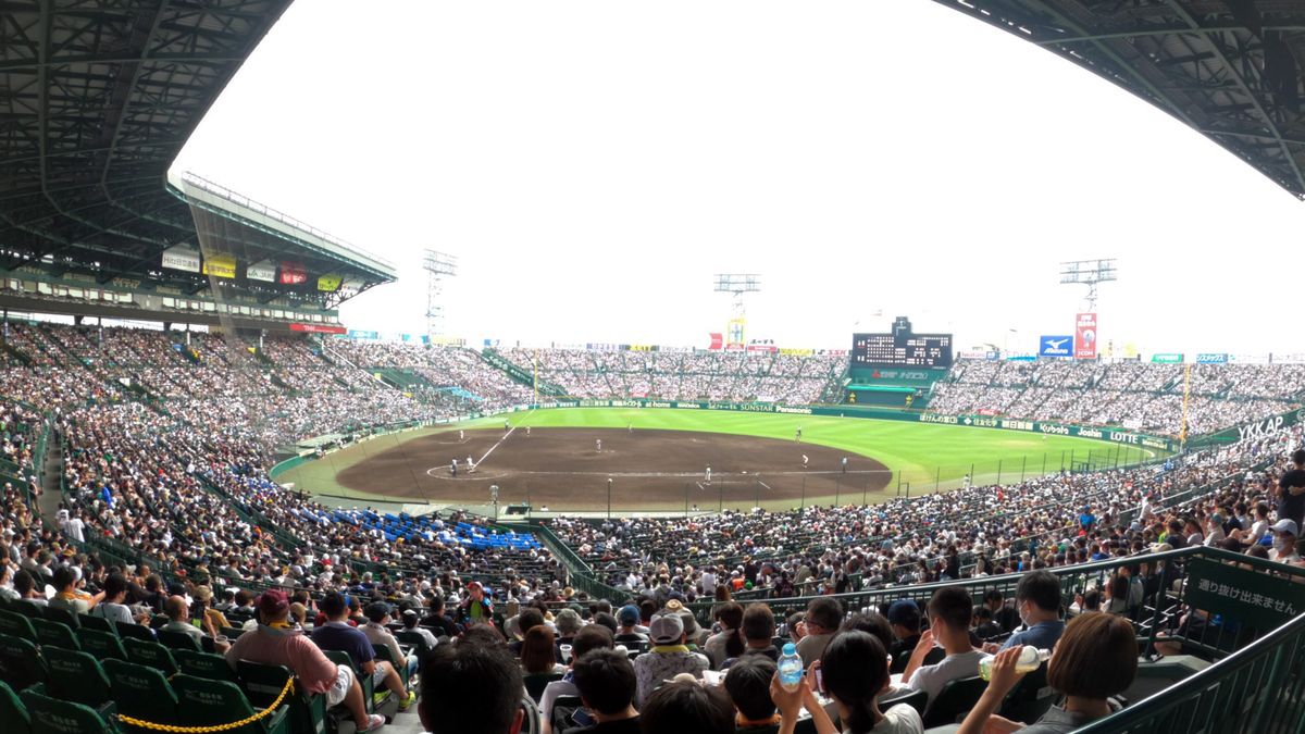 夏の甲子園　写真：日刊スポーツ/アフロ