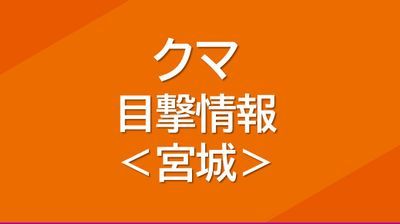 仙台市の住宅街にクマ出没　警察が注意を呼びかけ＜宮城＞