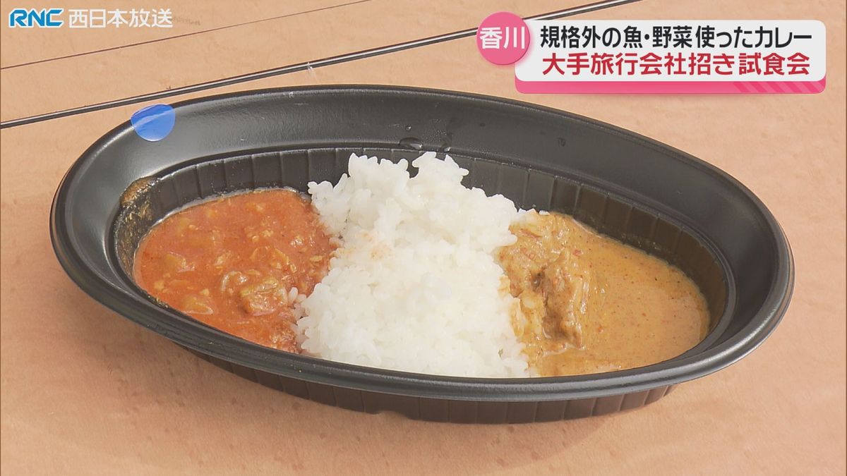 規格外の魚や野菜など使ったカレー試食会　大手旅行会社にアピール　商品化へ大詰め　小学生と飲食店が協力