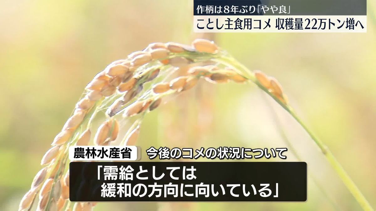 ことし全国で収穫される主食用のコメ　去年と比べ22万トン増の見通し