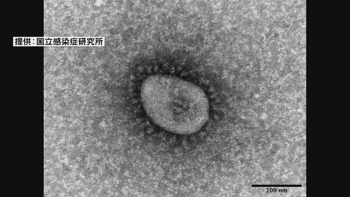 インフルエンザ 新型コロナ 共に増加傾向　長崎県年末1週間の感染症の発生状況発表《長崎》