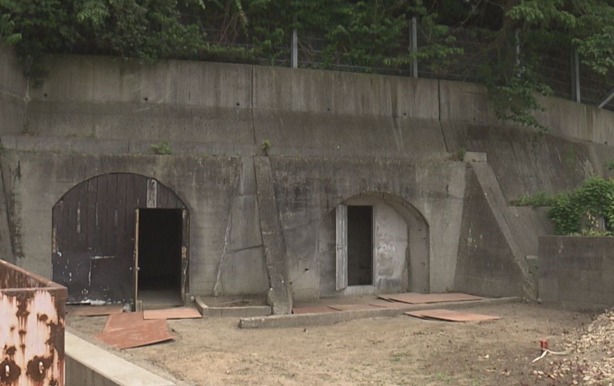 旧海軍航空基地の防空壕を初公開「何のために…」新たに見つかった“謎の部屋” 戦後は東大の実験フィールドに｜日テレNEWS NNN