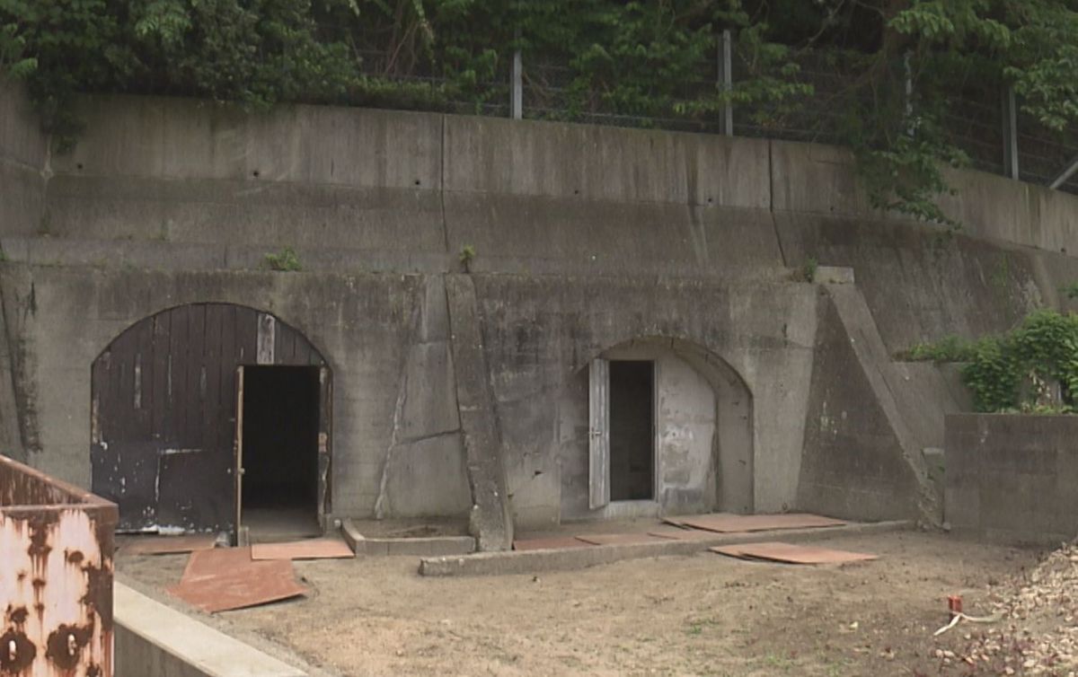 旧海軍航空基地の防空壕を初公開「何のために…」新たに見つかった“謎の部屋” 戦後は東大の実験フィールドに