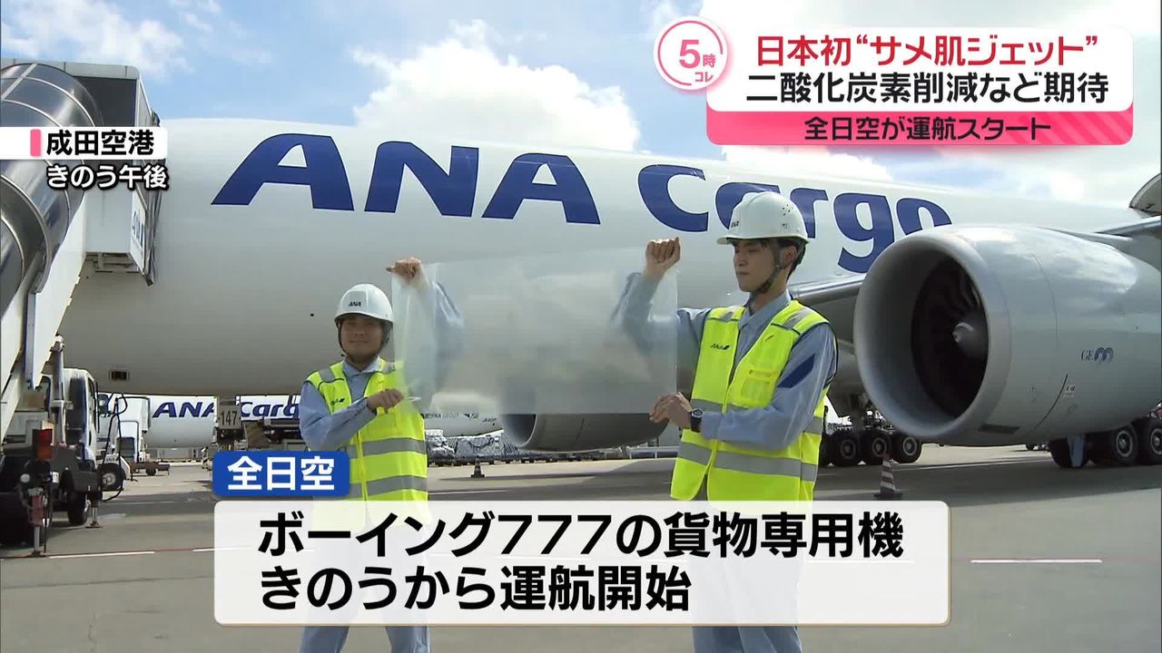 全日空 日本初“サメ肌”貨物機運航開始（2024年9月3日掲載）｜日テレNEWS NNN