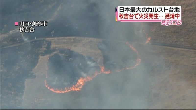 日本最大のカルスト台地　秋吉台で雑草火災