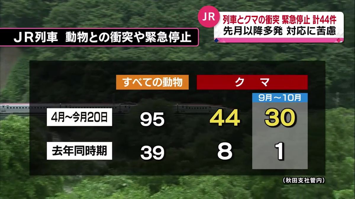 JR秋田支社　クマとの衝突事故去年の5倍以上に