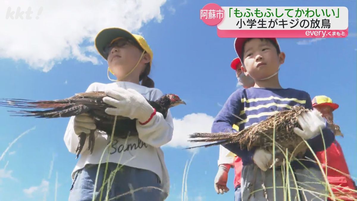 キジの放鳥を体験する小学生