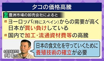 タコの価格高騰…日本が買い負け状態