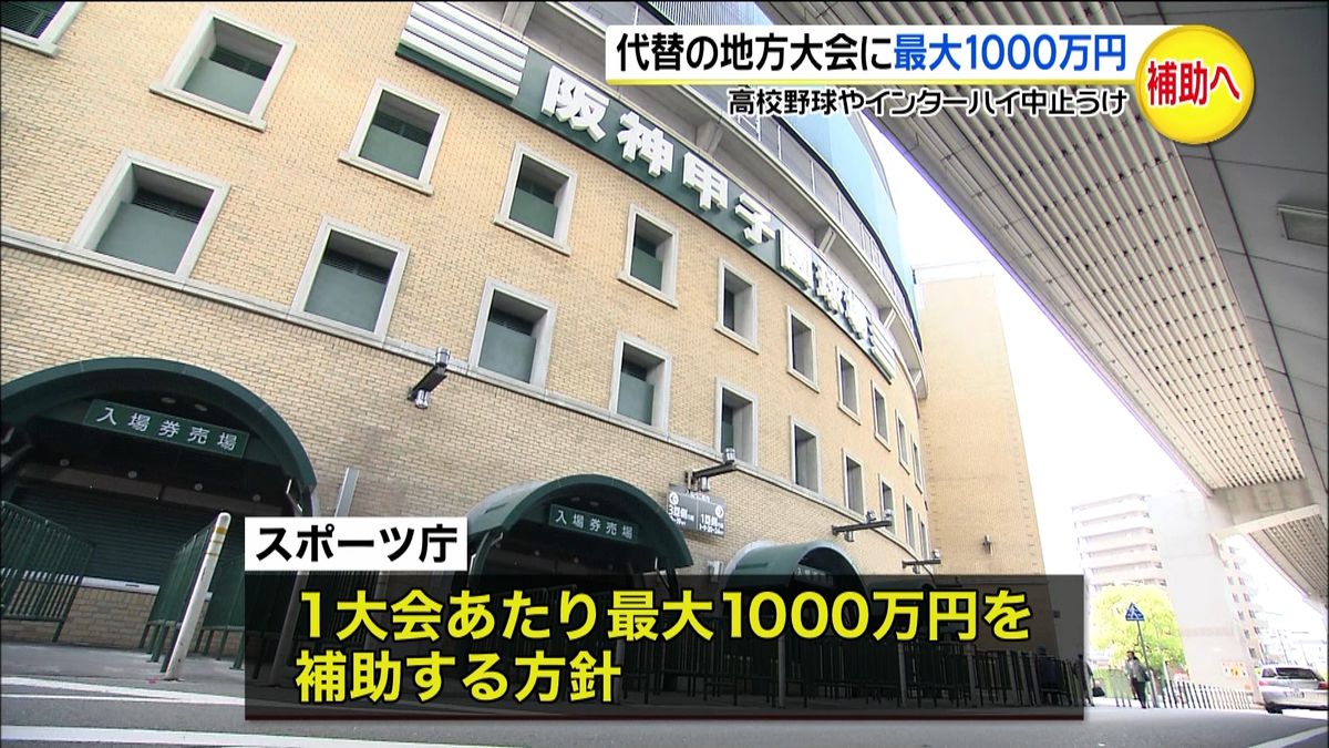 高校野球など中止　代替大会に最大１千万円