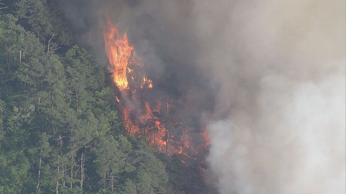 山形県内で相次ぐ山火事　新緑までの間の枯れ葉や下草が燃えやすい時期　気温の上昇も一因