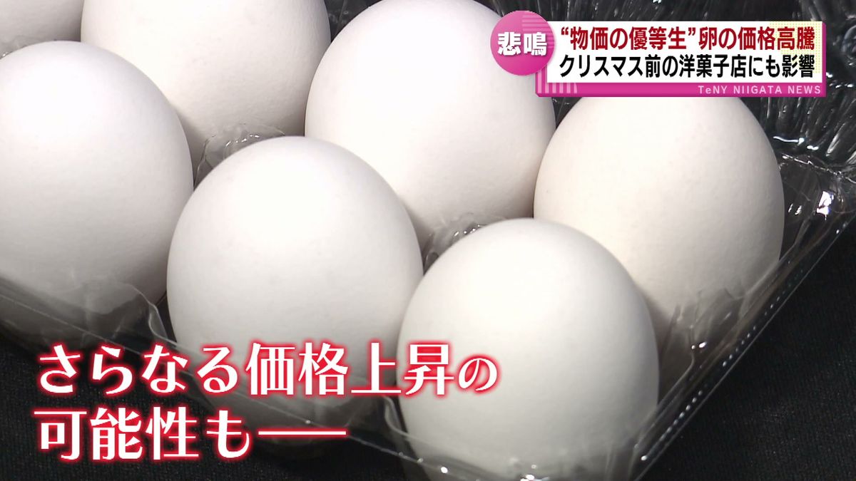 “物価の優等生”は昔の話？　卵の価格が高騰　クリスマス前の洋菓子店にも影響 《新潟》