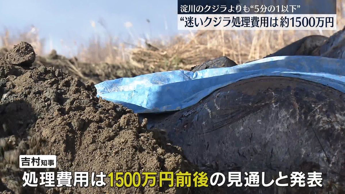 “迷いクジラ”処理費用は約1500万円…「淀ちゃん」に比べ5分の1以下　大阪