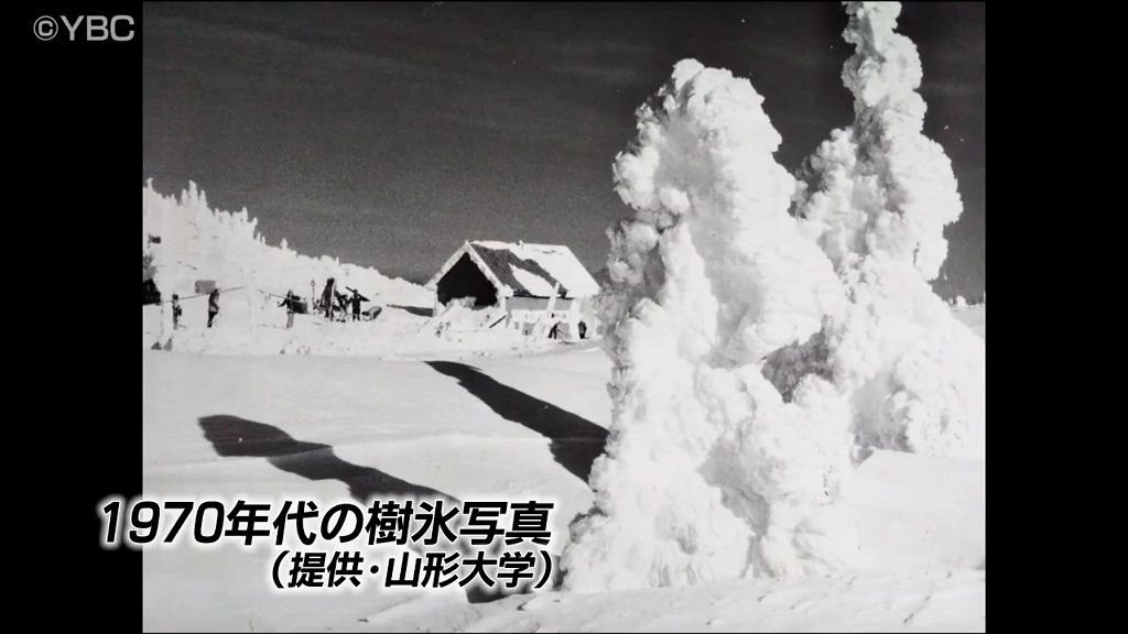 1970年代の貴重な蔵王の樹氷写真発見…研究用滞在施設も確認され、当時を知る資料に