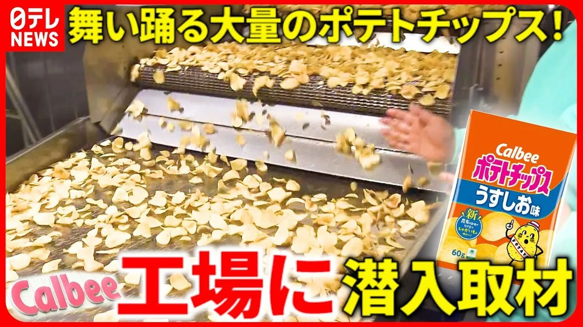 【カルビーの秘密】ポテトチップス製造ラインを大公開！　じゃがいもを“高速処理”するスゴ技も！？　立ち入り禁止の向こう側〜カルビー・ポテトチップス編〜『every.特集』