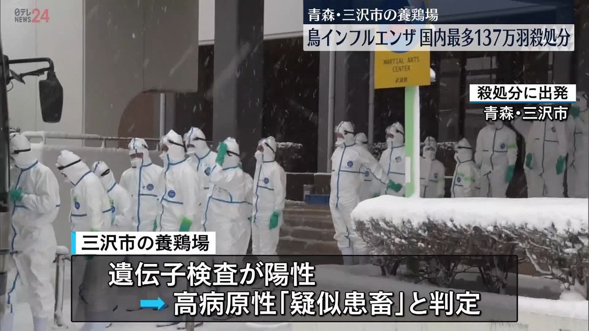 鳥インフルエンザ…国内過去最多の約137万羽殺処分　青森・三沢市の養鶏場