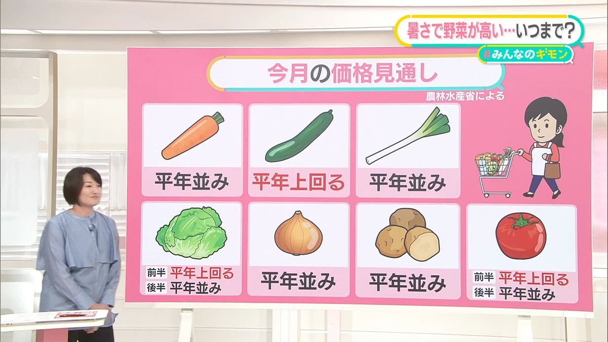 野菜高騰いつまで？　“激安スーパー”でもトマト1個で162円、梨の「特売」できず　お買い得な野菜2選【#みんなのギモン】