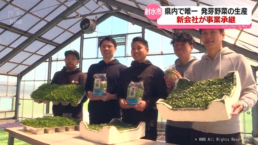 発芽野菜の生産を引き継ぐ　射水市の新会社の思い