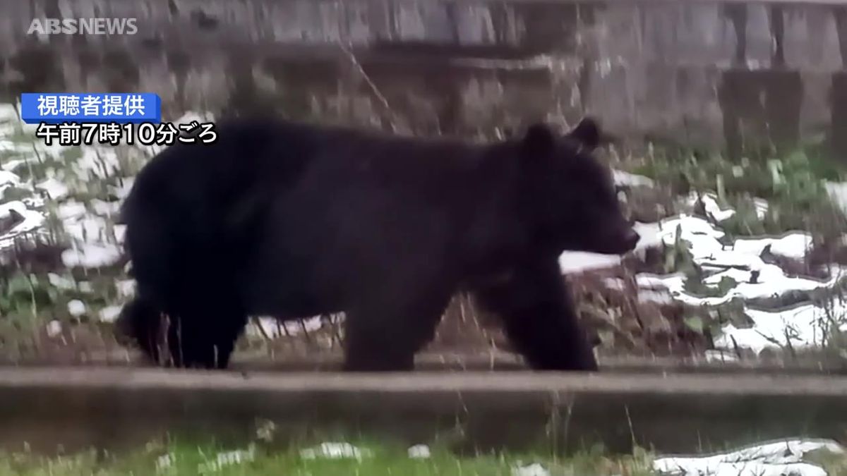 秋田市の住宅街の一角　高校近くにクマ出没