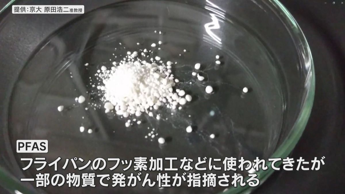 発がん性が指摘される有機フッ素化合物「ＰＦＡＳ」　血液検査で約３割が健康リスクと発表