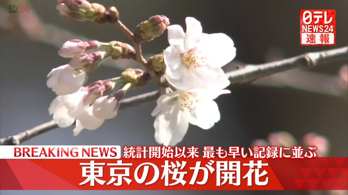 東京の桜が開花　統計開始以来最も早い記録、2020年と2021年に並び