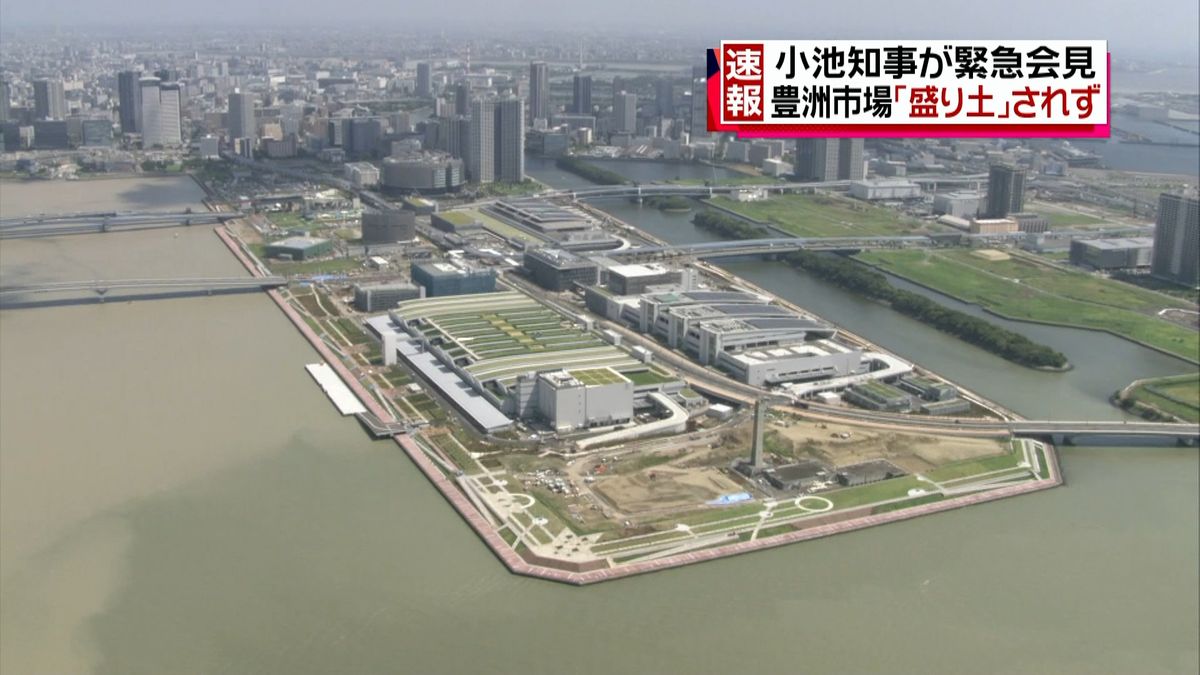 豊洲市場の盛り土されず　都庁担当記者解説