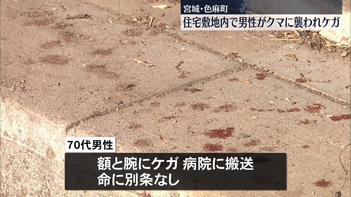 住宅敷地内でクマに襲われ男性がケガ　宮城・色麻町