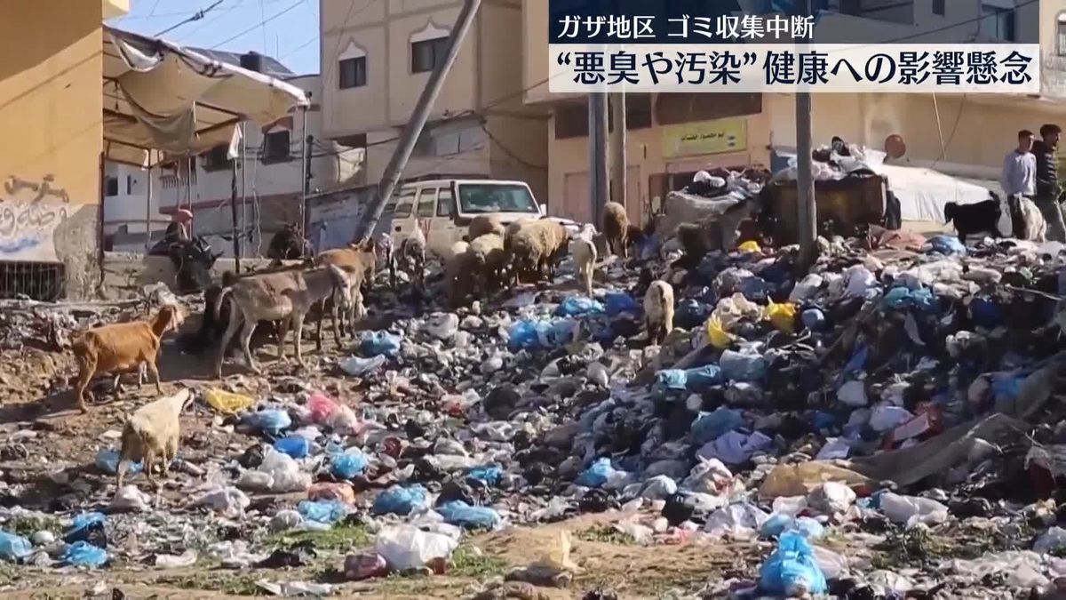 戦闘続くガザ地区　ゴミ収集など停止…“悪臭や汚染”健康への影響懸念