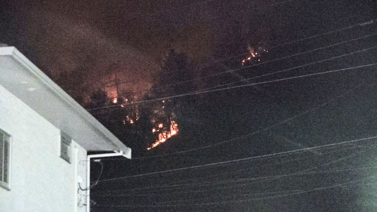 大月の山火事 3日目も山裾へ向け延焼続く 自衛隊が出動 近くの学校は休校に 山梨　