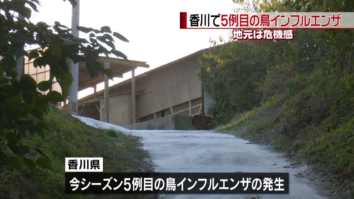 三豊市の養鶏場で鳥インフル　香川で５例目