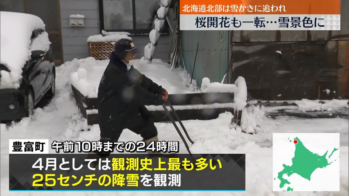 冬に逆戻り　桜開花の札幌も一転…雪景色に