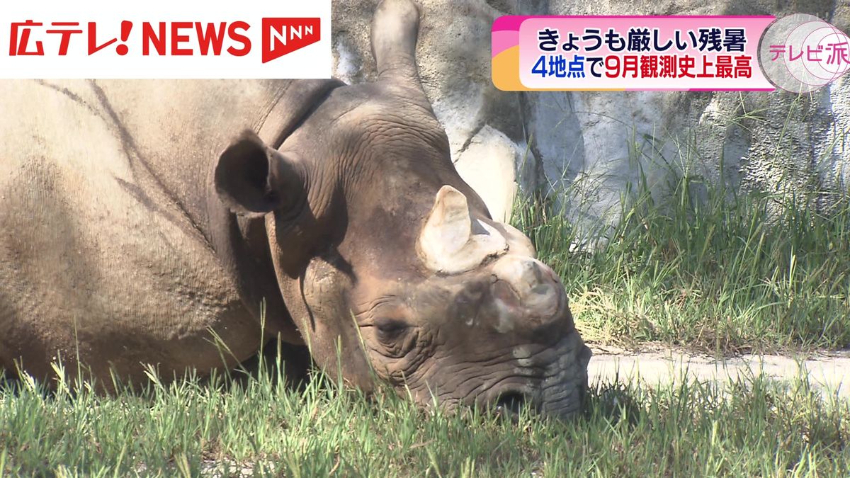 広島県安芸太田町加計で38.5℃　全国一位の暑さ