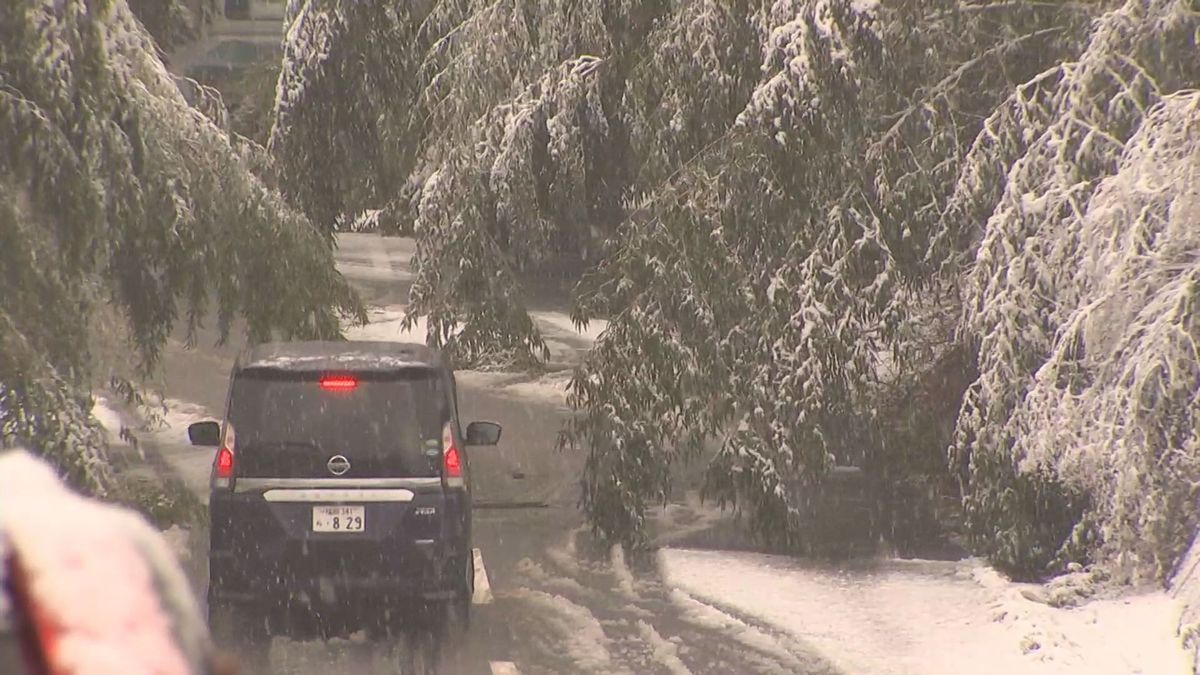 「朝起きたら真っ白」大分県内4地点で氷点下を観測　山地では積雪も　水道管の凍結に注意　