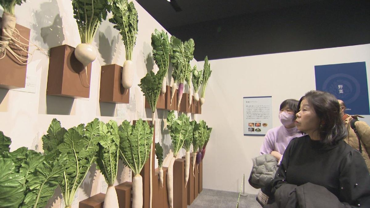 「和食」を深く知れる特別展　ユネスコ無形文化遺産に登録され世界の注目が集まる「和食」　愛知県豊田市博物館でスタート