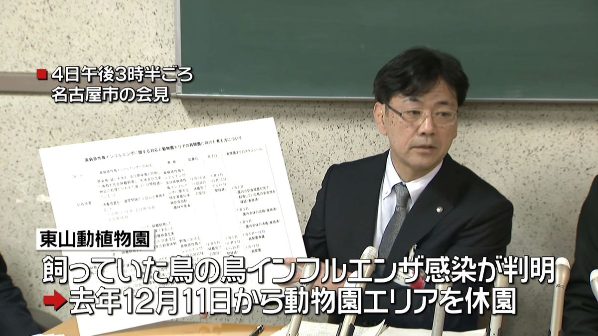 鳥インフルで休園　東山“動物園”再開へ