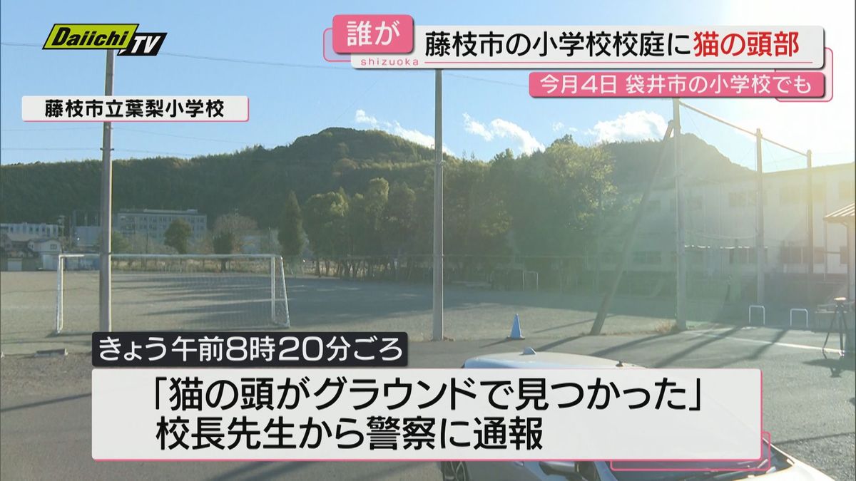 またも小学校のグラウンドに切断された猫の頭部　県内で今月２件目　警察で関連含め捜査（静岡・藤枝市）