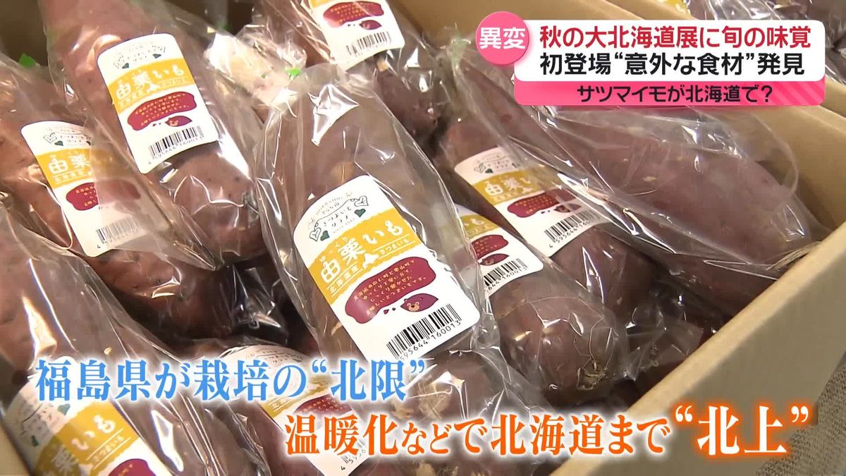 秋の味覚“産地に異変”　温暖化で…サツマイモが北海道の新たな名産に？　伊勢えびも各地でブランド化