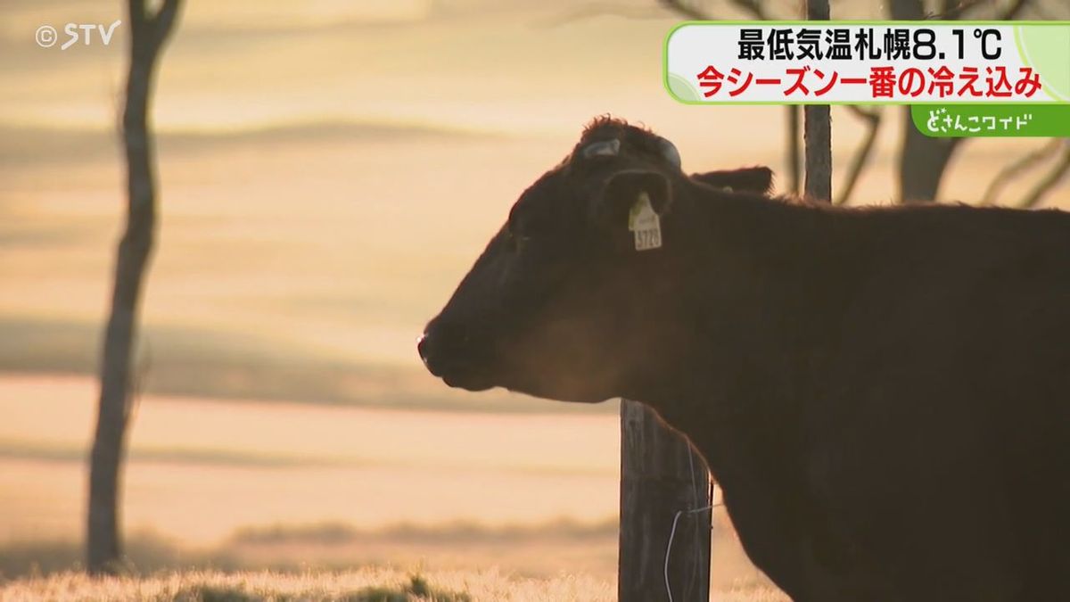 早くも霜が…吐く息も白く染まる　北海道で氷点下の気温　あすも冷え込み強まる　